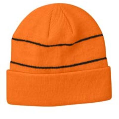 Reflective Beanie Thumbnail