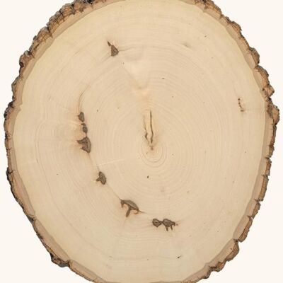 9-12" Rustic Basswood Plank Thumbnail